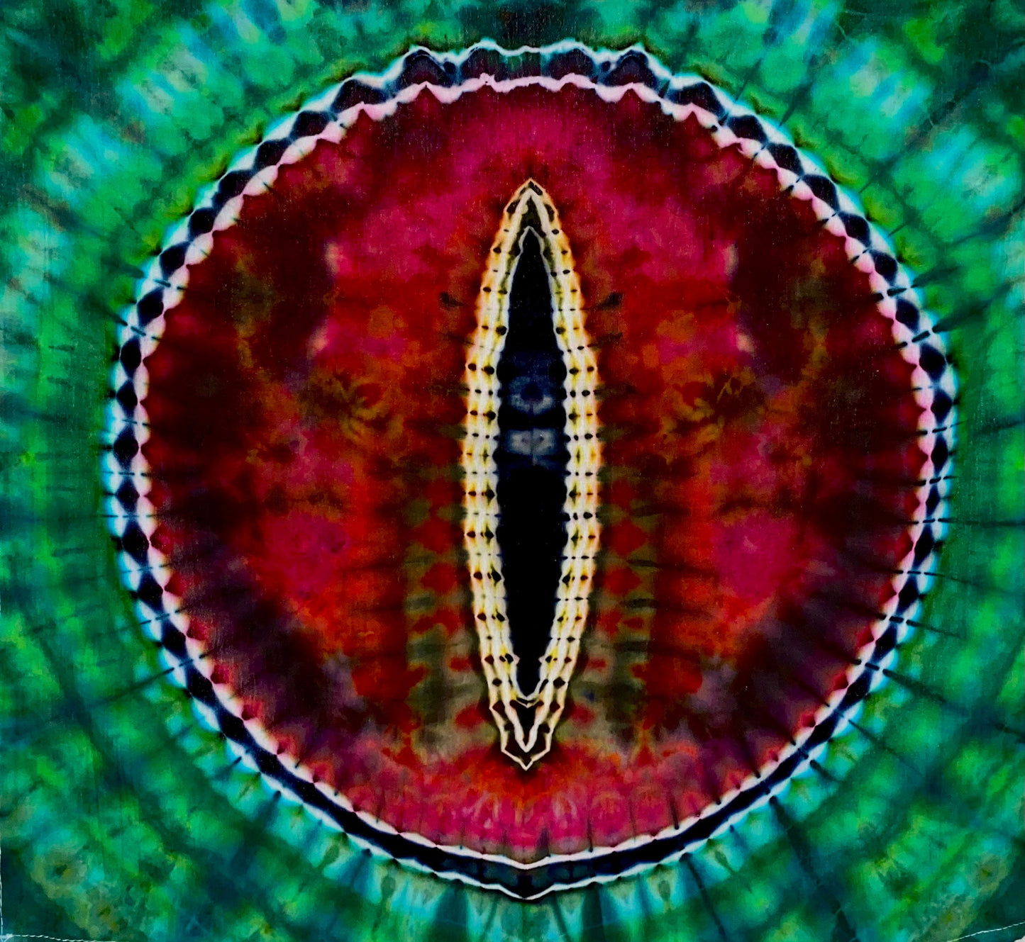 Dinosaur Eye Tie Dye Tapestry